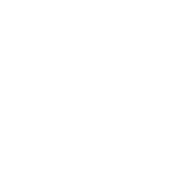 Security Shield